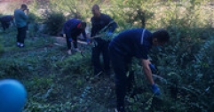 【市城市燃熱集團富泰熱力】清理衛(wèi)生死角 清除廠區(qū)蒿草