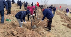 【市城市燃熱集團(tuán)富泰熱力】公司組織開展義務(wù)植樹活動(dòng)