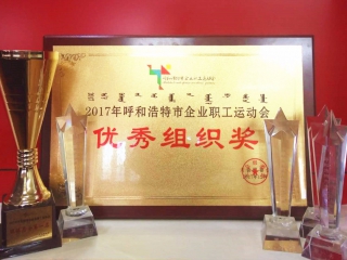 優(yōu)秀組織獎